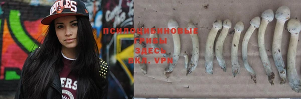 трава Аркадак