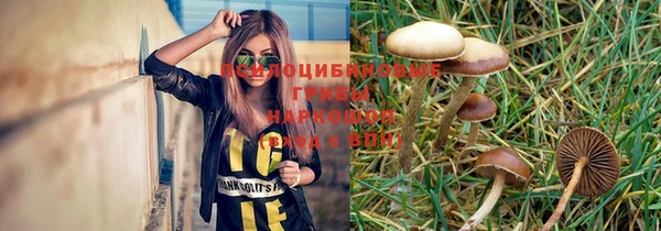 бутират Арсеньев