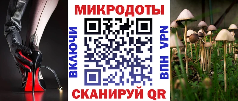 hydra ТОР  Ленинск  Галлюциногенные грибы Psilocybe  как найти закладки 